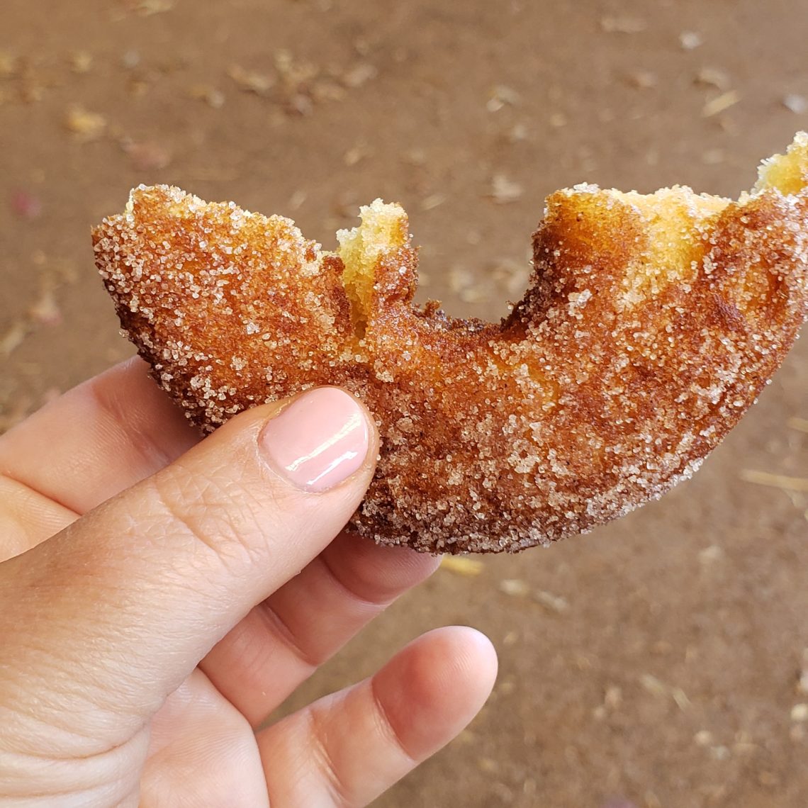 A hand holds a half-eaten cider donut.