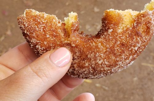 A hand holds a half-eaten cider donut.